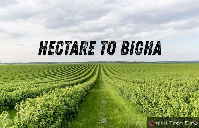 Hectare to Bigha: A Simple Guide for Land Conversion in India